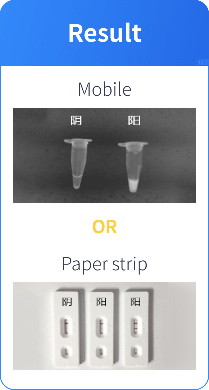 CRISPR application example3