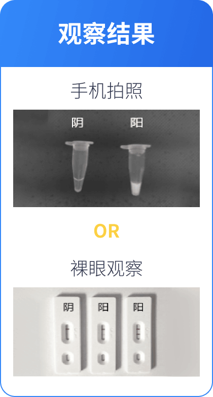 CRISPR 应用示例3