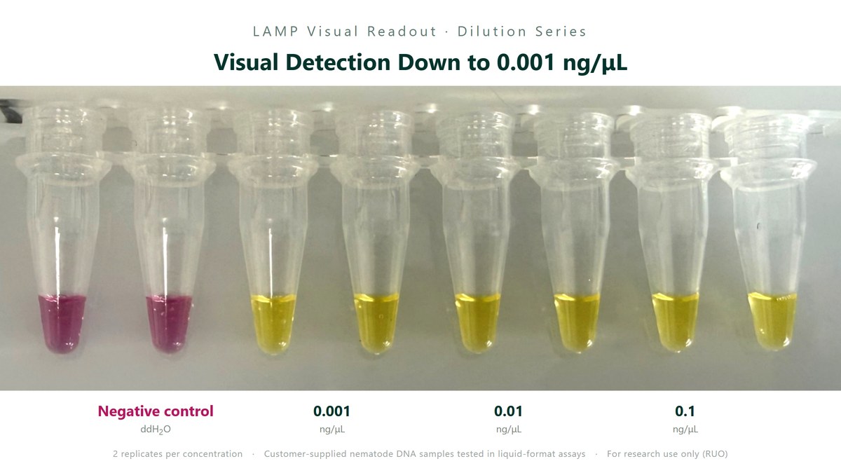 LAMP visual readout dilution series: visual detection down to 0.001 ng/μL